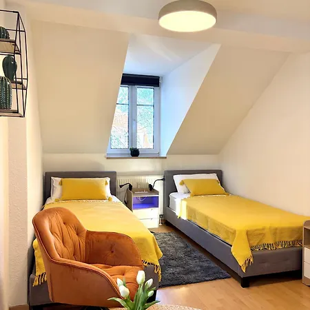 Apartment Newcityhome-3 Zi-spacious Harley - Kassberg - Priv Parking Chemnitz