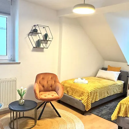 Apartment Newcityhome-3 Zi-spacious Harley - Kassberg - Priv Parking Chemnitz