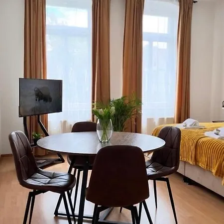 Newcityhome-3 Zi-spacious Harley - Kassberg - Priv Parking Chemnitz