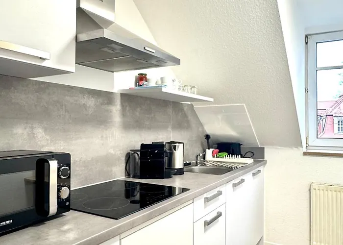 Apartmán Newcityhome-3 Zi-spacious Harley - Kassberg - Priv Parking Chemnitz (Saská Kamenice)